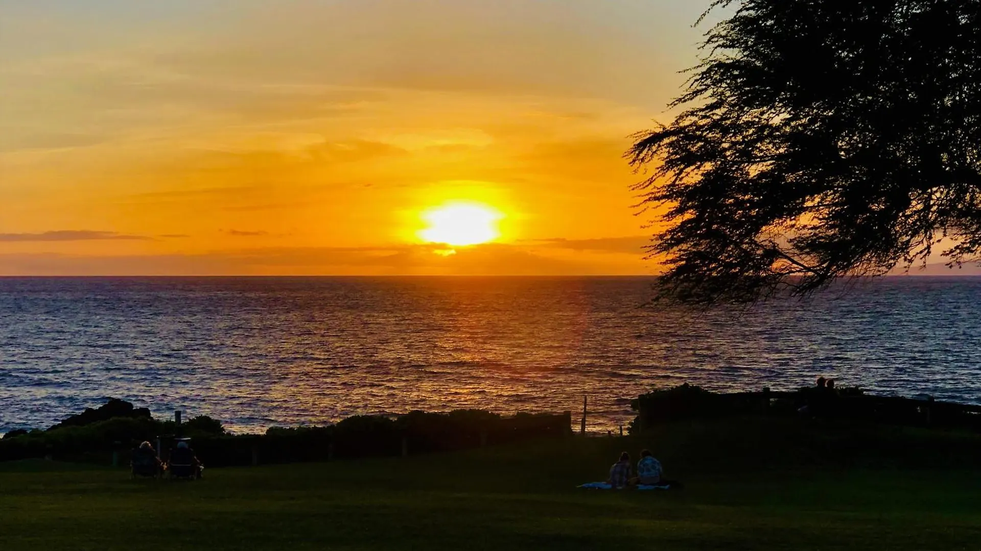 Apartment Rear Ocean View 2 Bedroom Single Level Condo At Kamaole Sands 9-305 Wailea