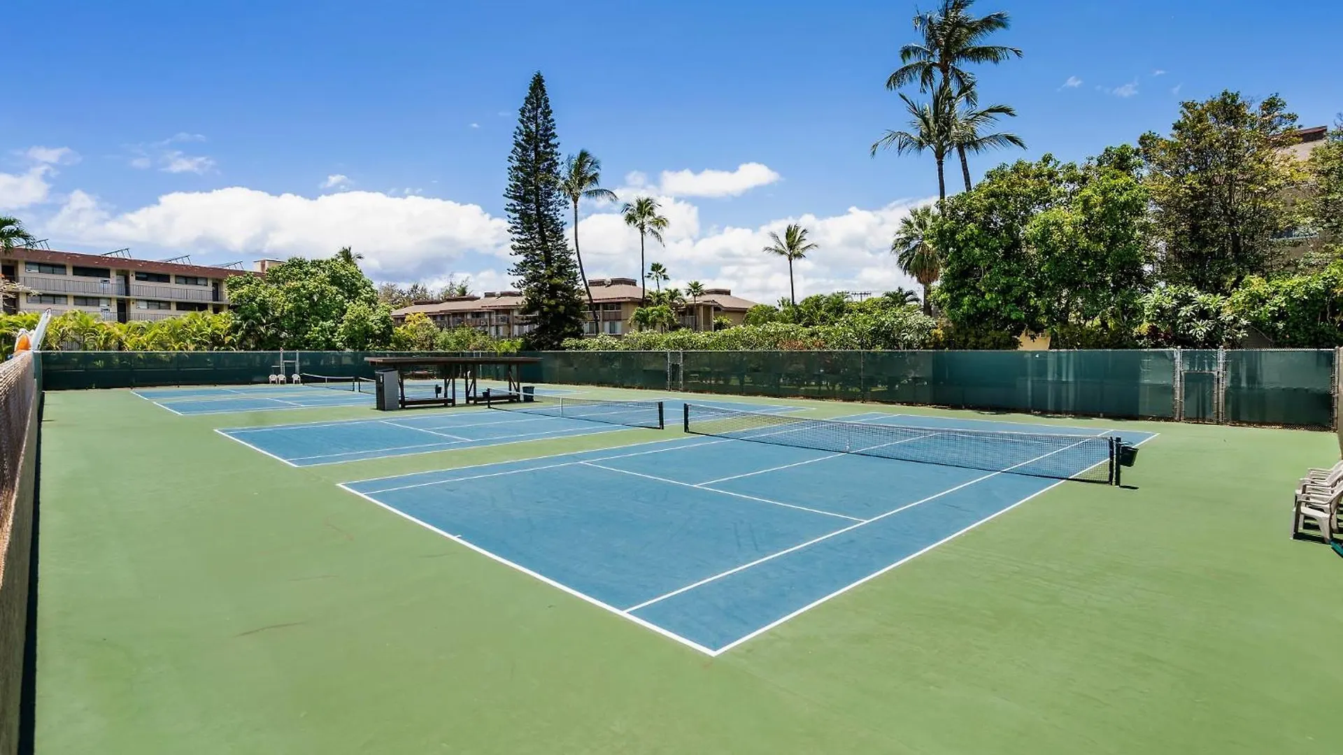 Apartment Rear Ocean View 2 Bedroom Single Level Condo At Kamaole Sands 9-305 Wailea