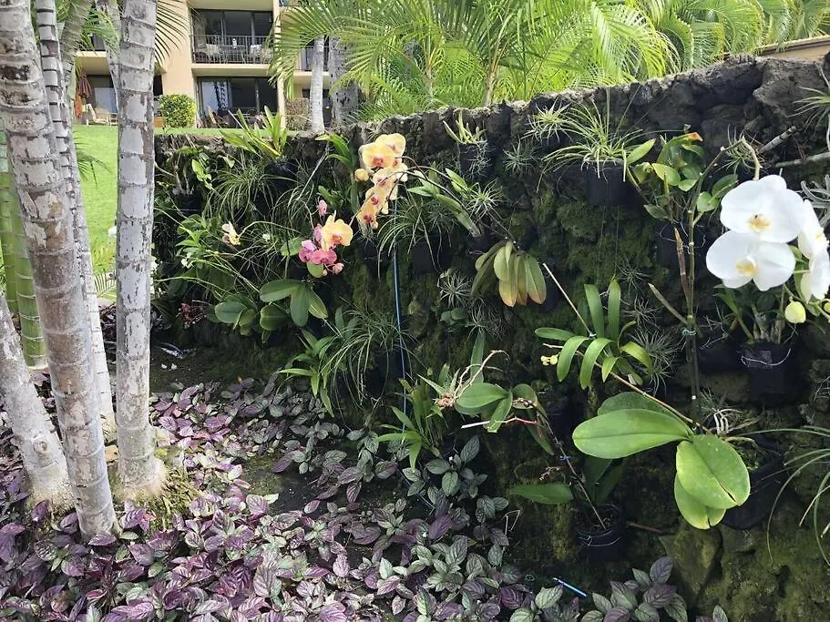 Rear Ocean View 2 Bedroom Single Level Condo At Kamaole Sands 9-305 Wailea